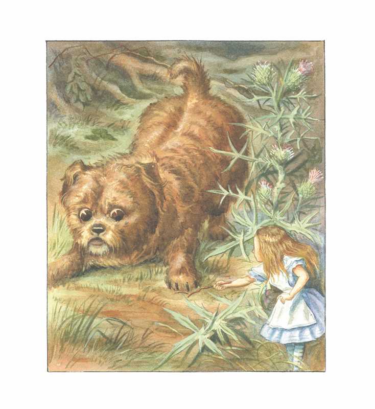 Lewis Carroll Puzzle Book by Lewis Carroll