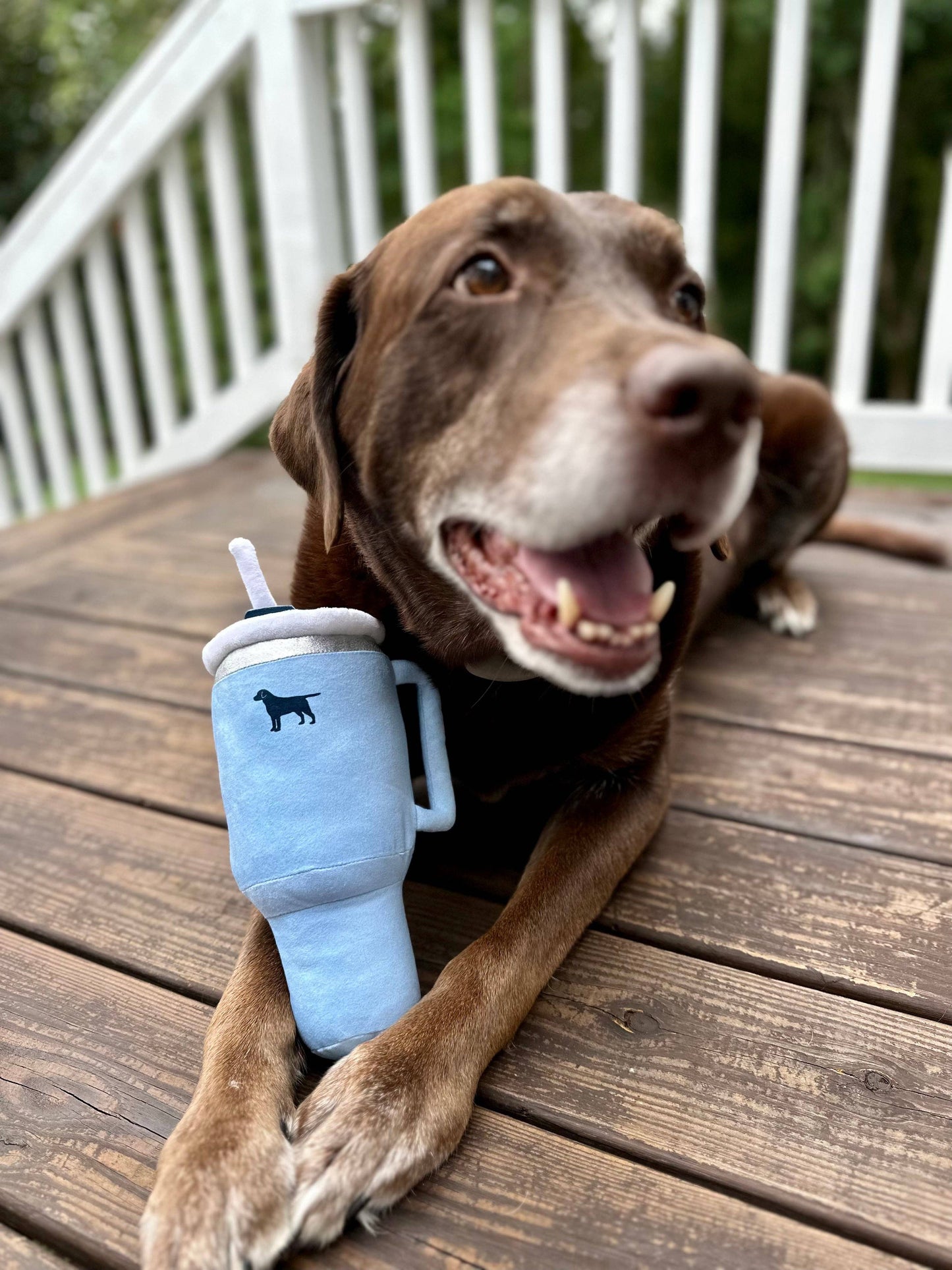 PUPROAR Pup Cup Tumbler Plush Squeaker Dog Toy