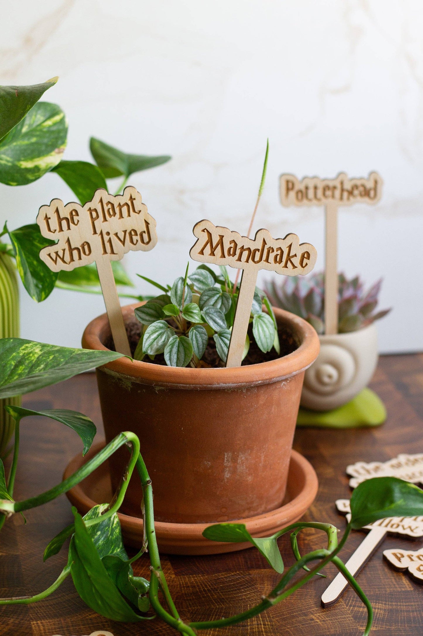 Harry Potter Wooden Plant Markers