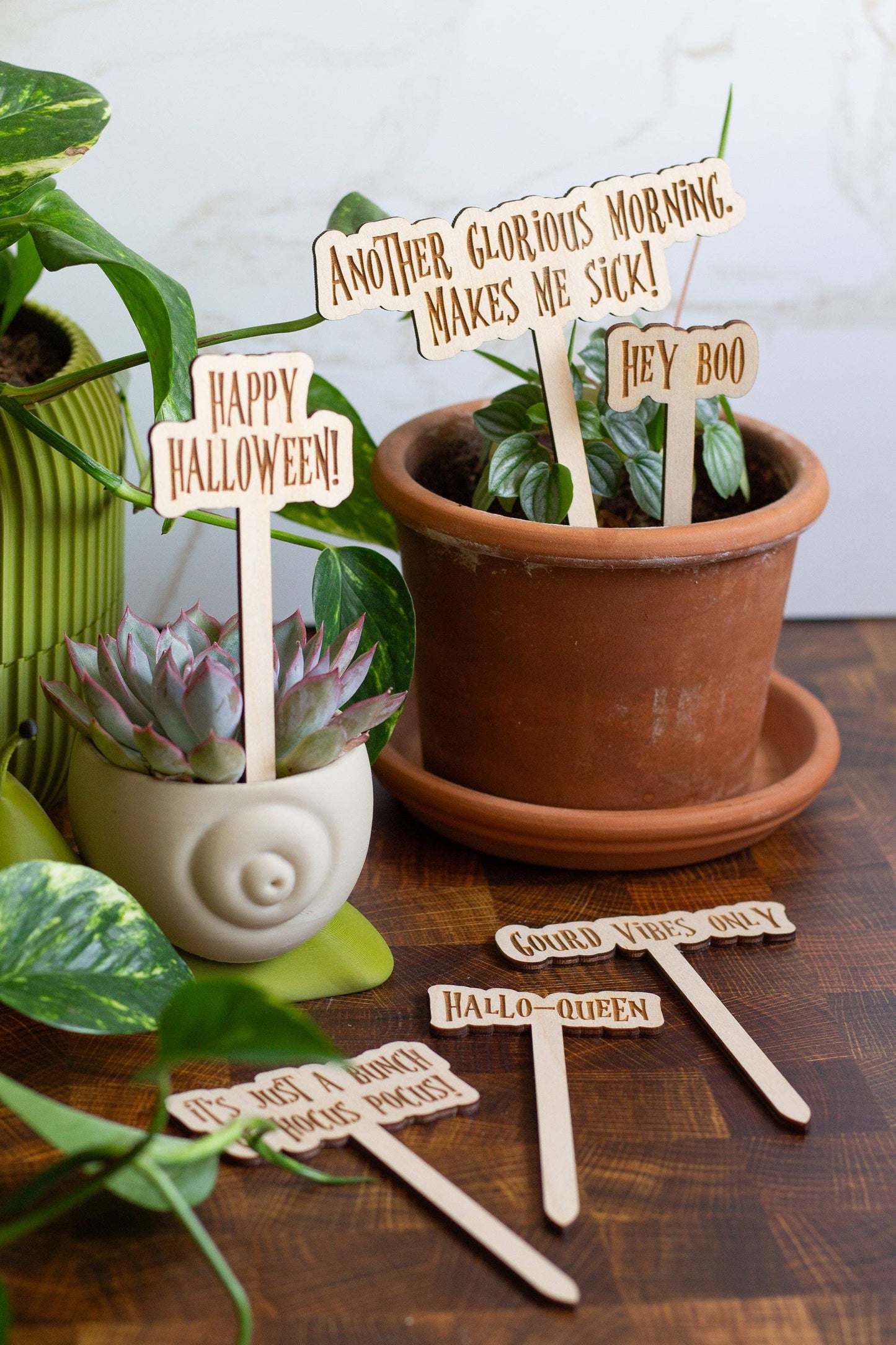 Halloween Wooden Plant Markers 