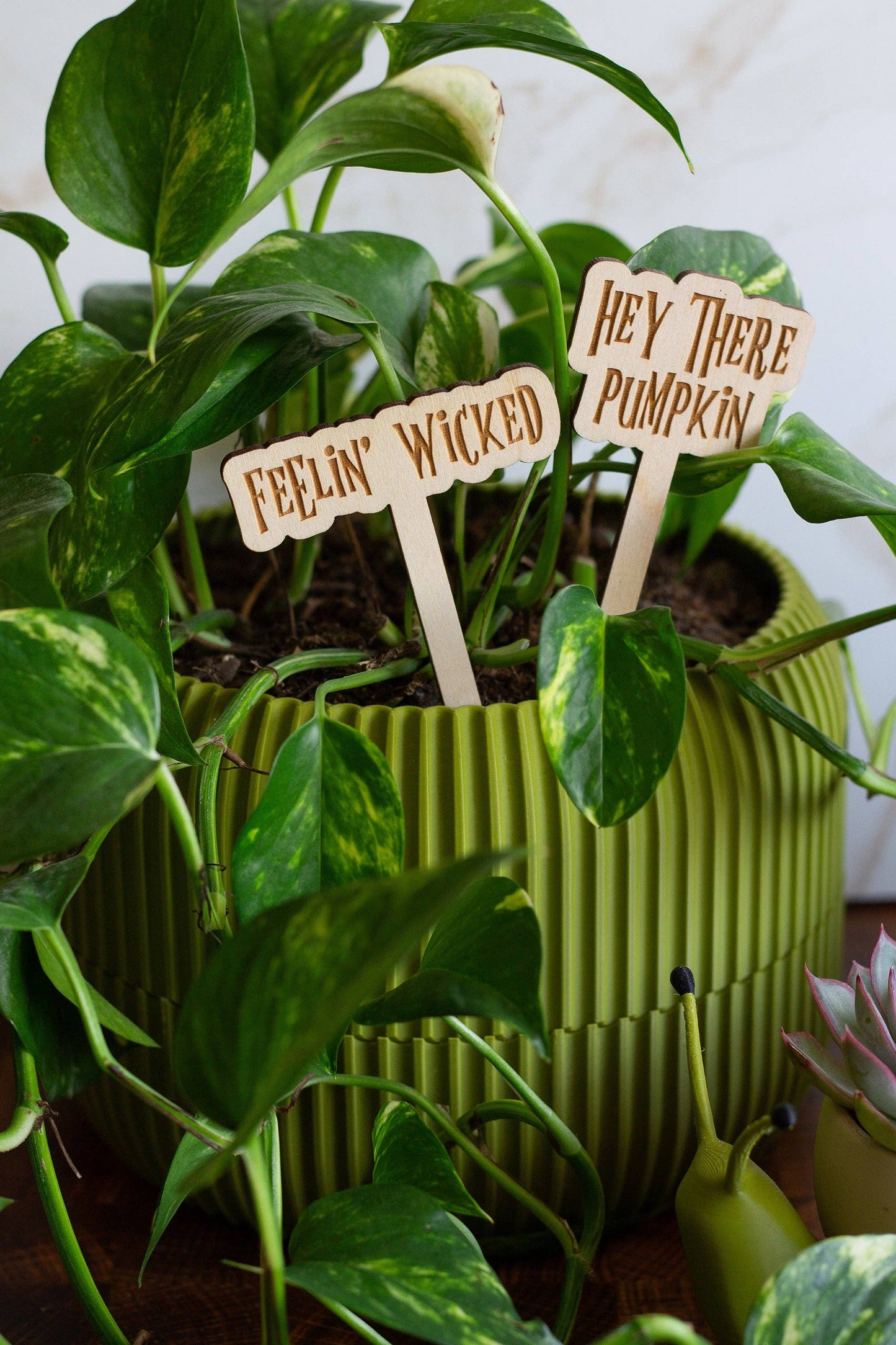 Halloween Wooden Plant Markers 