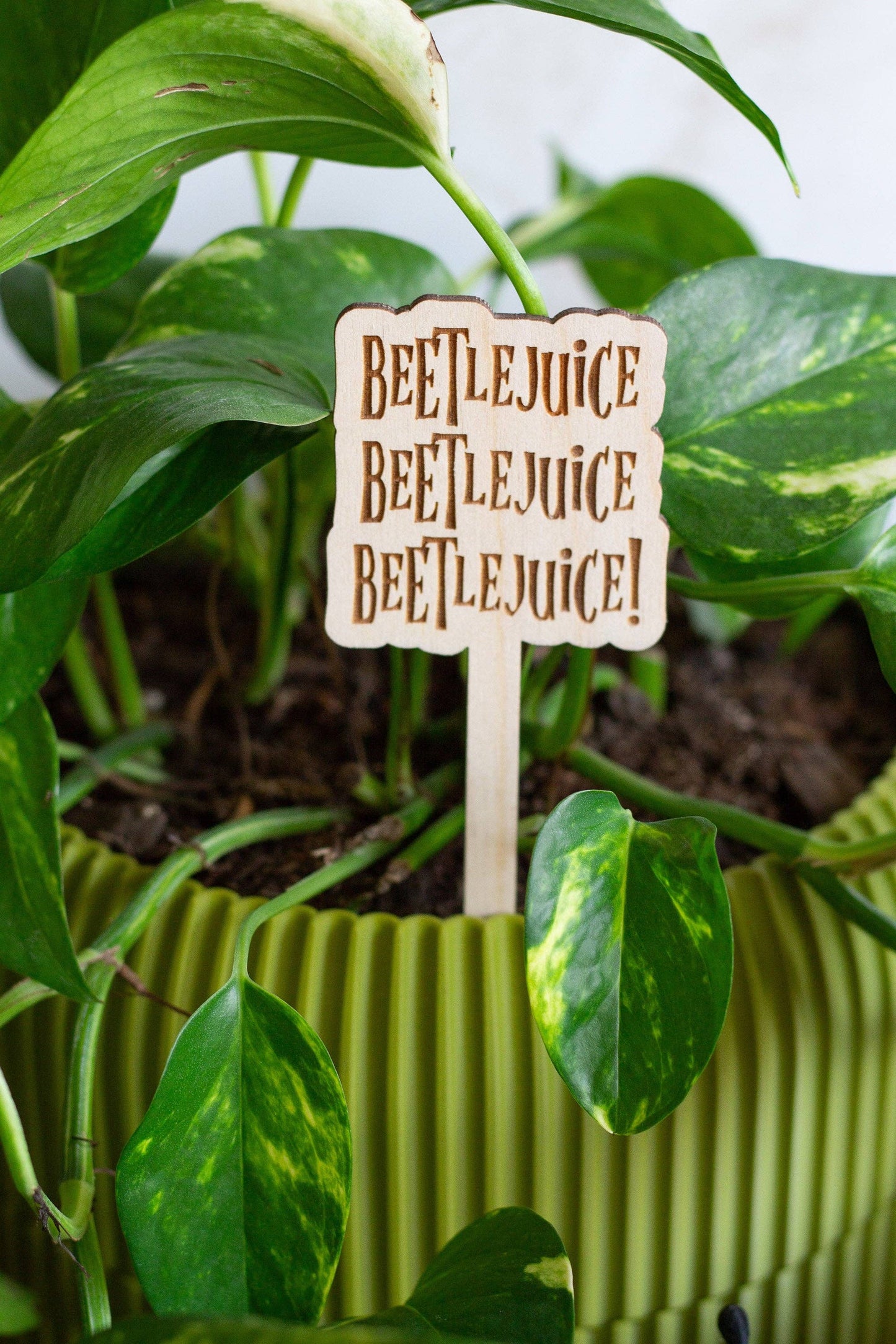 Halloween Wooden Plant Markers 