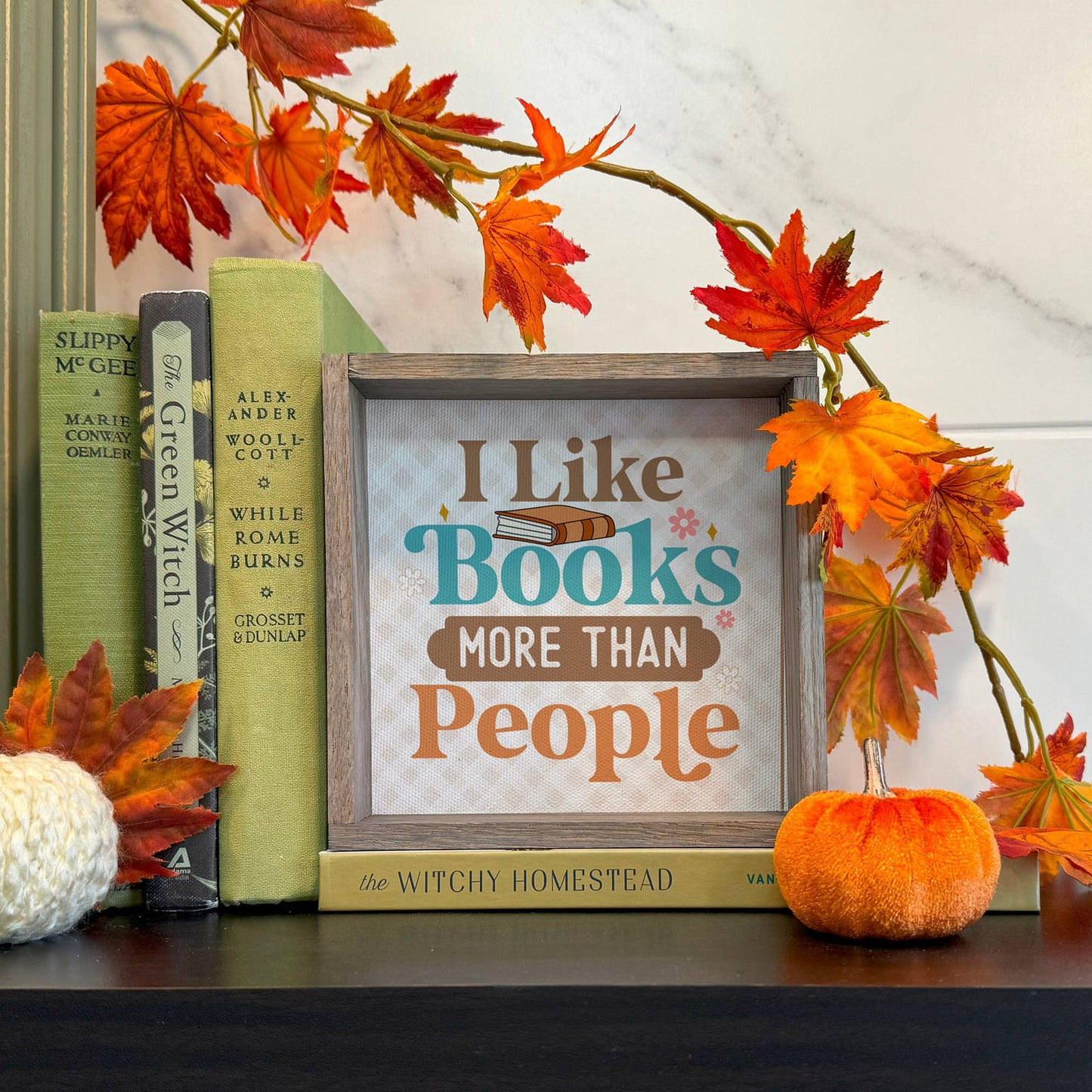 I Like Books More Than People - Book Lovers Canvas Art