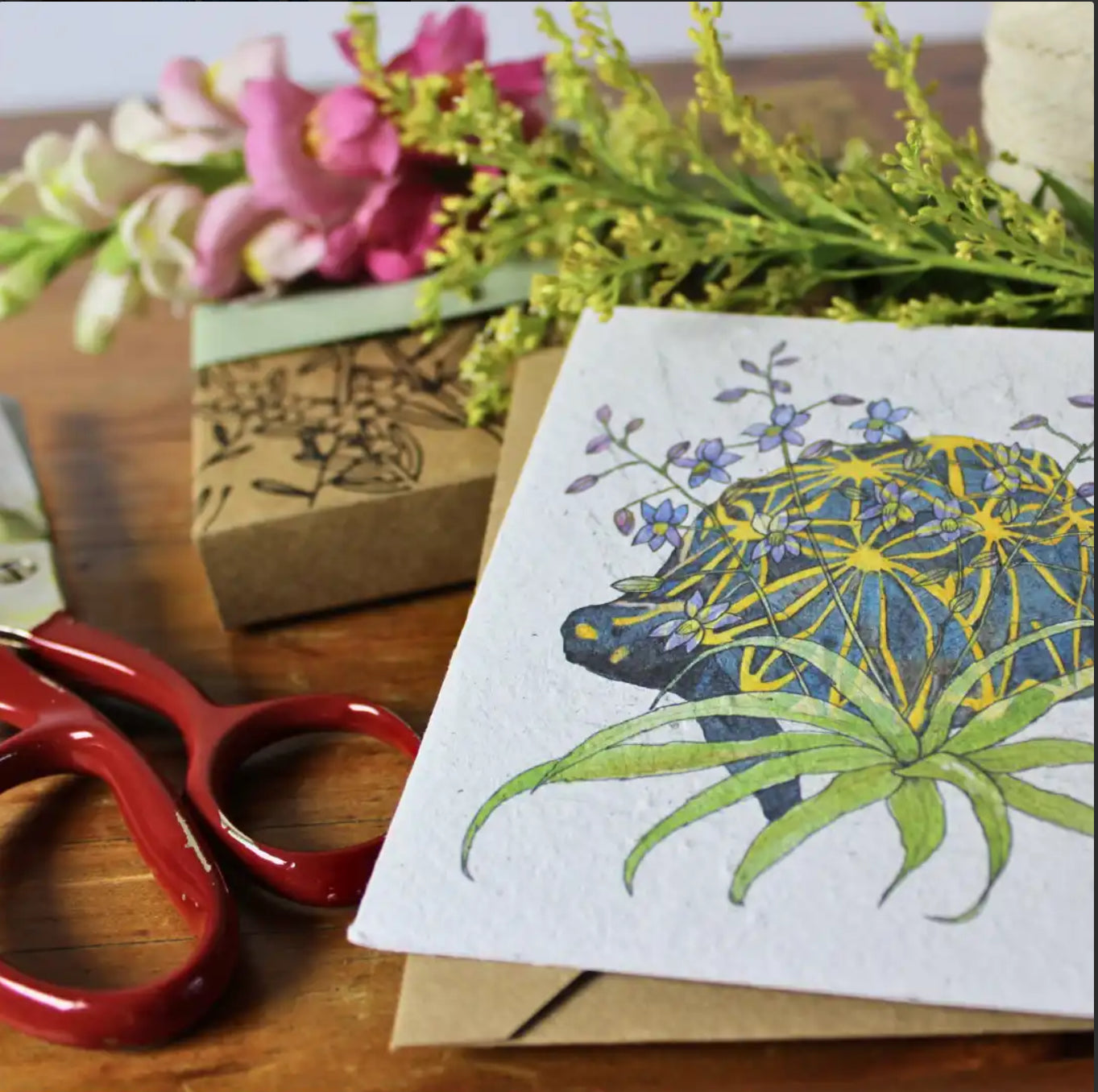 Growing Paper Greeting Cards - blank inside