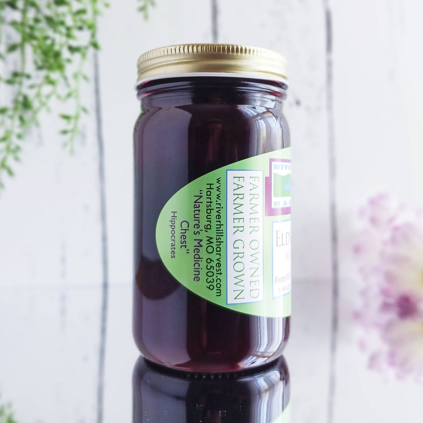 American Elderberry Jelly