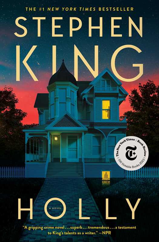 Holly by Stephen   King
