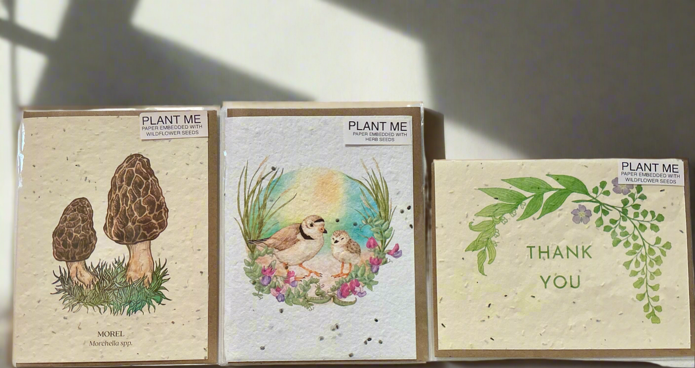 Plant Me Greeting Card - Herb Seeds