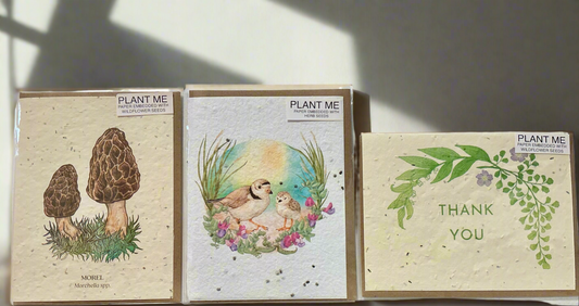 Plant Me Greeting Card - Herb Seeds