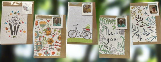 Growing Paper Greeting Cards - blank inside