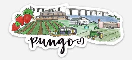 Pungo Virginia Skyline sticker - Large 5inx2in
